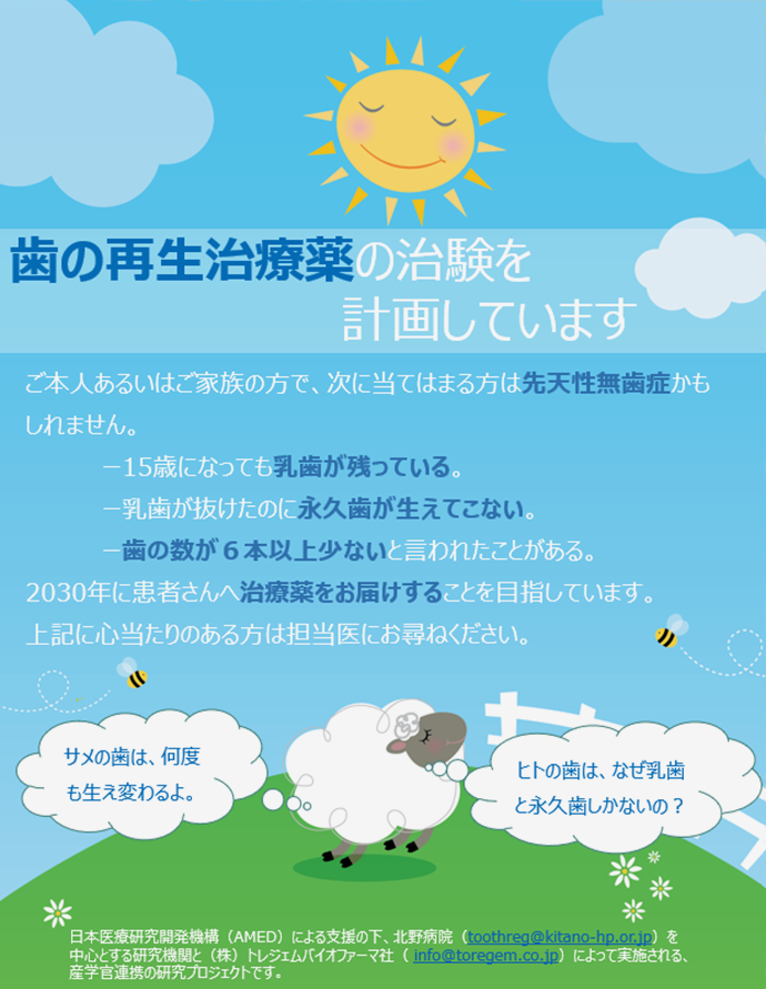 歯の再生治療薬の治験を計画しています